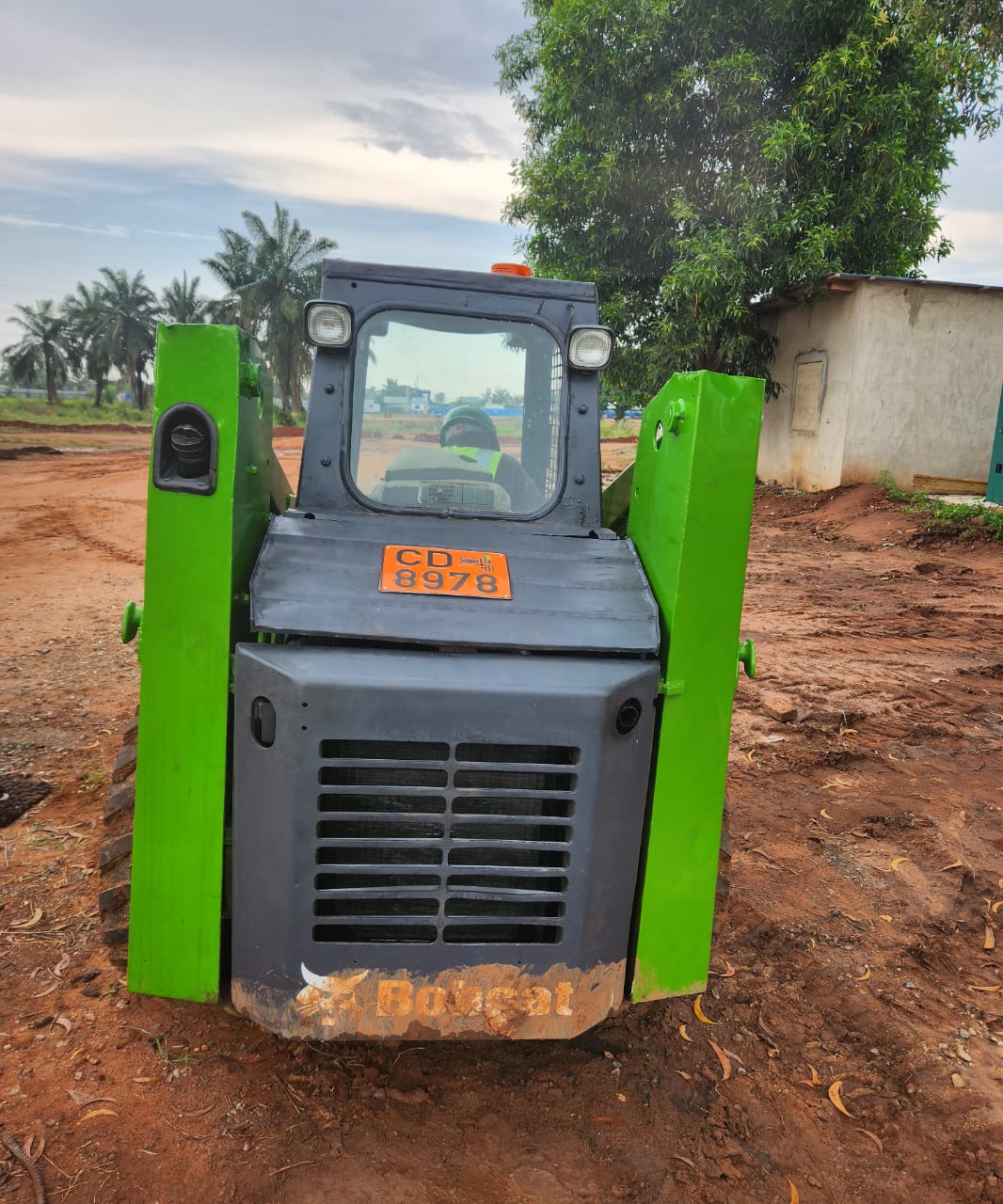 Bobcat – Image 2